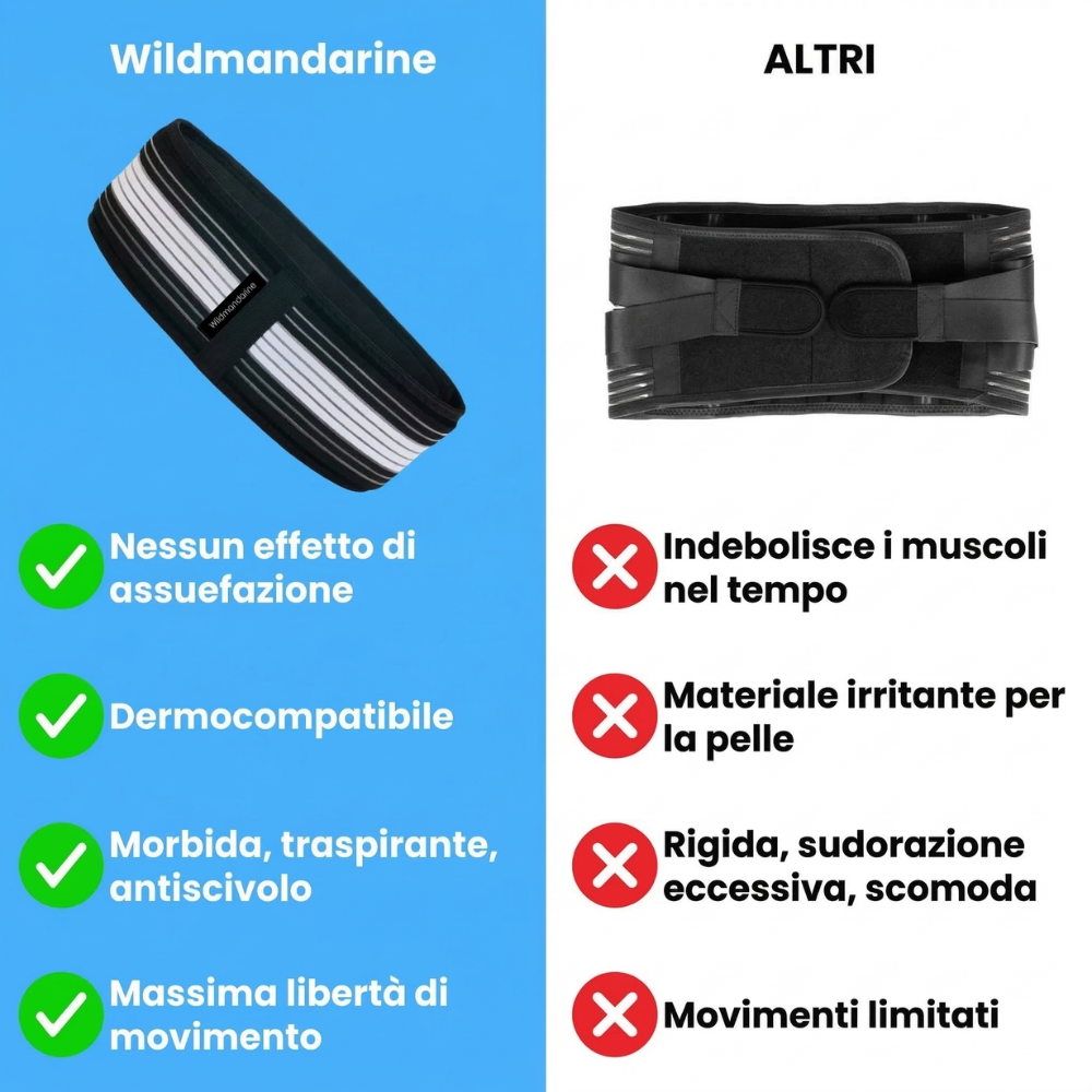 Fascia Sacroiliaca ISG