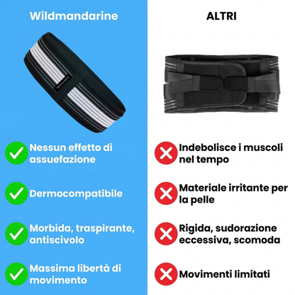 Fascia Sacroiliaca ISG