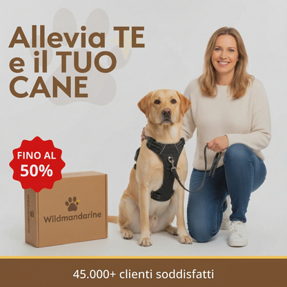 PETTORINA ANTI-TIRO WILDMANDARINE™