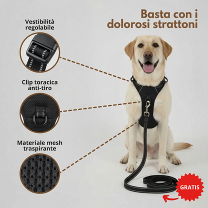 PETTORINA ANTI-TIRO WILDMANDARINE™