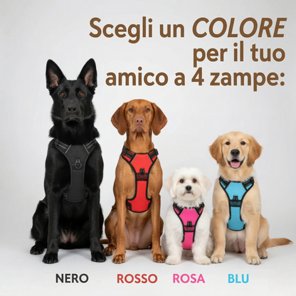 PETTORINA ANTI-TIRO WILDMANDARINE™