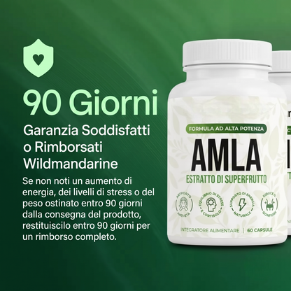 Capsule di superfrutto di Amla
