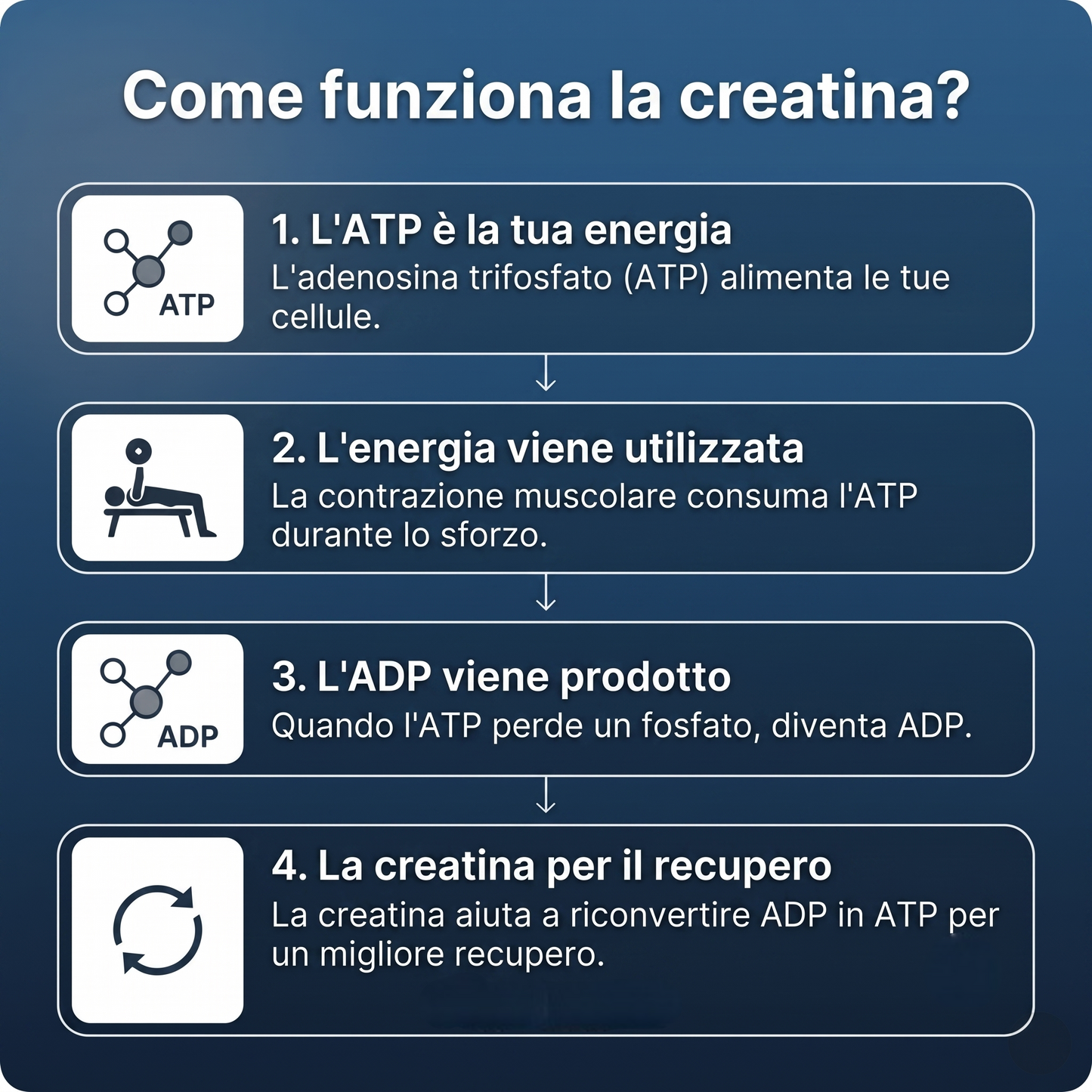 Gommose di creatina - Mirtillo
