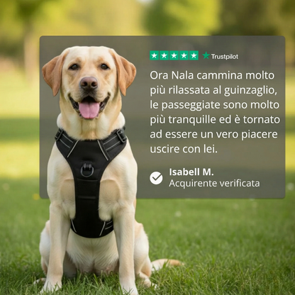 PETTORINA ANTI-TIRO WILDMANDARINE™