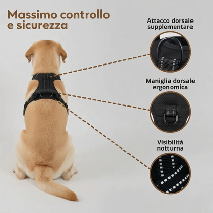 PETTORINA ANTI-TIRO WILDMANDARINE™