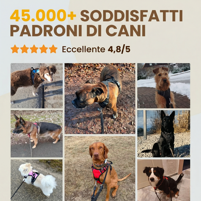 PETTORINA ANTI-TIRO WILDMANDARINE™