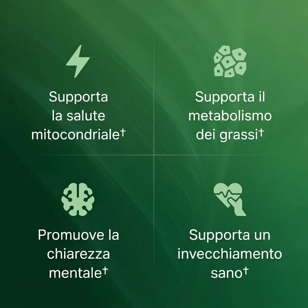 Capsule di superfrutto di Amla