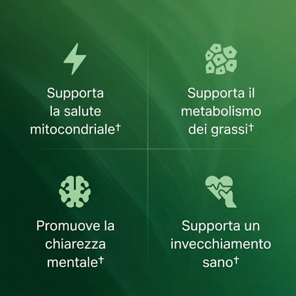 Capsule di superfrutto di Amla