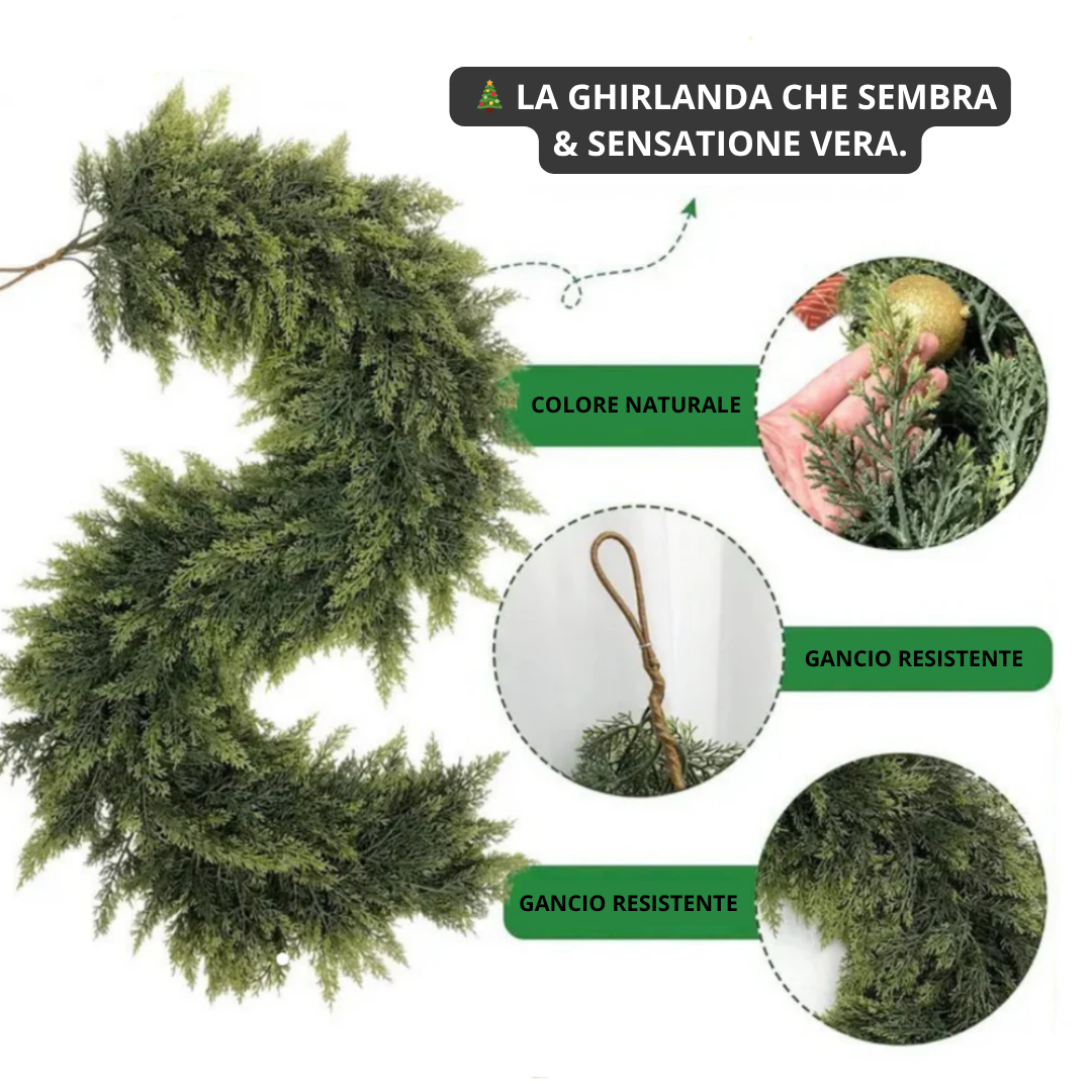 Wildmandarine™  Ghirlande di cedro